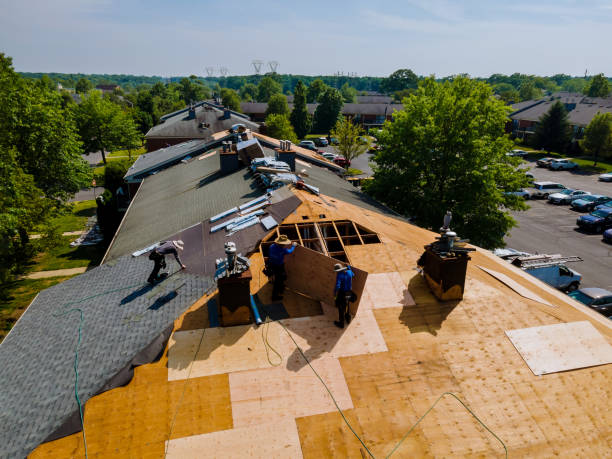 24/7 Emergency Flat Roof Repair experts in Rapelje, MT
